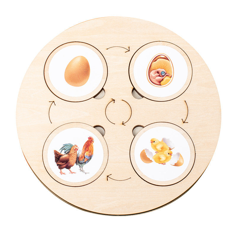 Montessori - Vývoj v přírodě - učící placičky